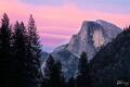 Half Dome & Sentinel Meadow