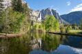 Yosemite in Spring