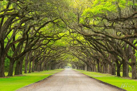 11 Top Fine Art Photography Websites