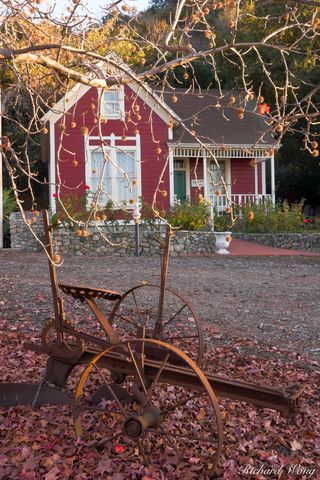 Hamilton House, Antique Farming Equipment and Liquid Amber Tree in Fall Season / Centennial Heritage Park, Glendora, California