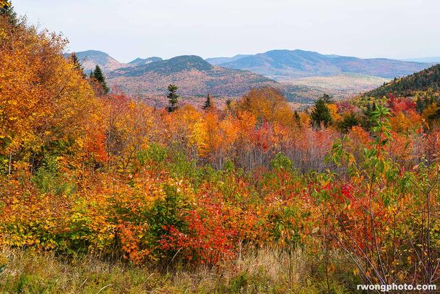 White Mountains Fall Color