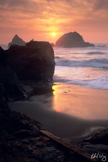 Seal Rocks at Sunset, San Francisco, California, Photo