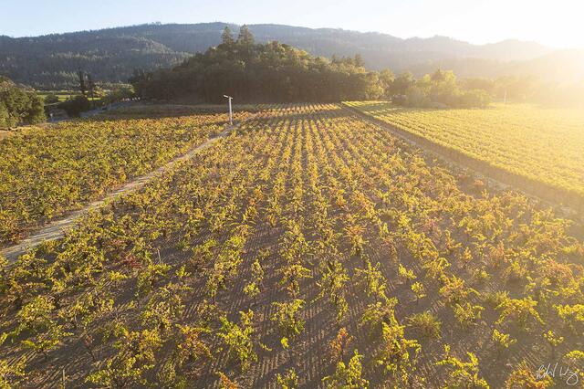 Silverado Trail Aerial Vineyard