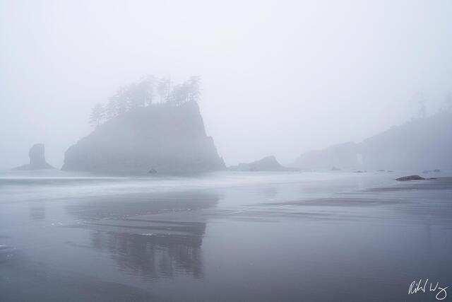 Second Beach Foggy Morning, Olympic National Park, Washington, photo