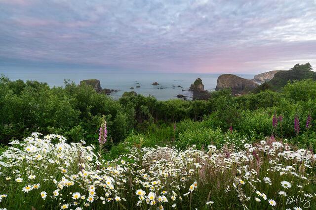 Harris Beach State Park Sunrise, Brookings, Oregon, photo