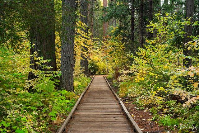 The Pathway of Giants