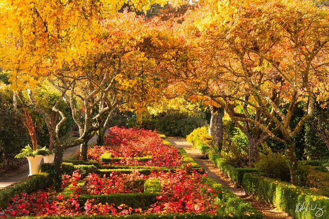 Filoli's Walled Garden During Fall Season, Woodside, California, photo