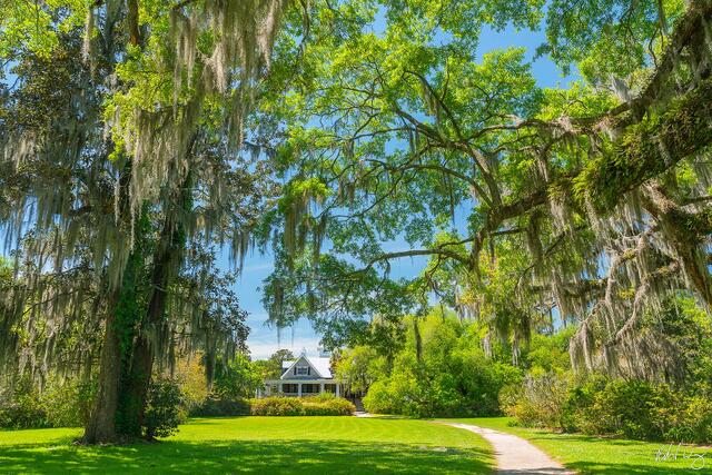 Magnolia Plantation House