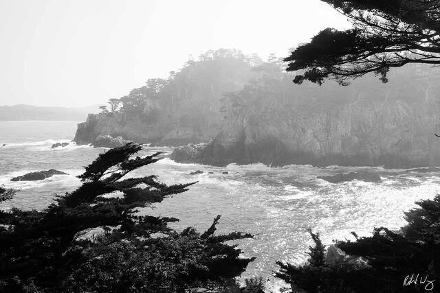 Cypress Grove Trail Overlook, Point Lobos State Natural Reserve, Carmel-by-the-Sea, California, photo