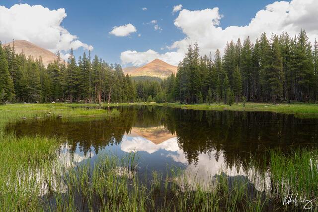 Pond Reflection Near Mono Pass, Yosemite National Park, California, photo