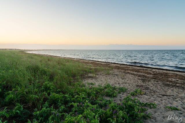 Cape Cod National Seashore at Sunrise, Provincetown, Massachusetts, photo