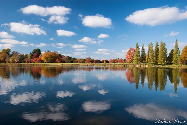 Fall Foliage Reflection in Lake Nevin, Bernheim Arboretum, Clermont, Kentucky