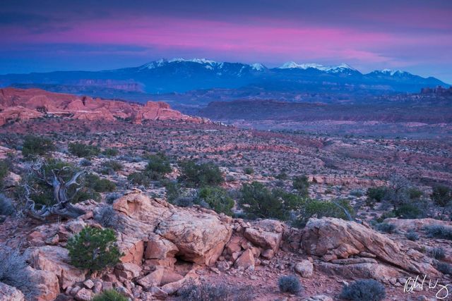 Doc Williams Viewpoint print