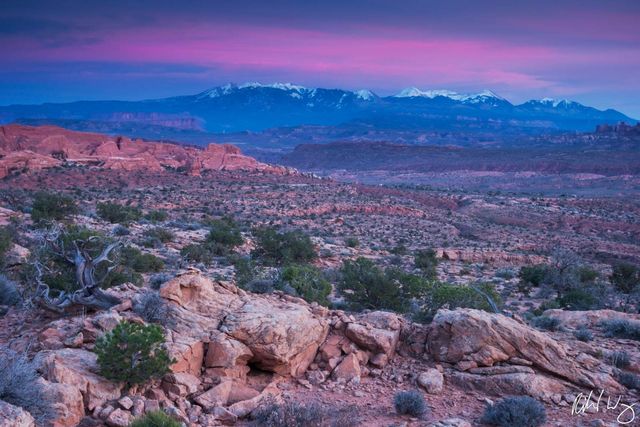 La Sal Mountains at Sunset from Doc Williams Viewpoint, Arches National Park, Utah