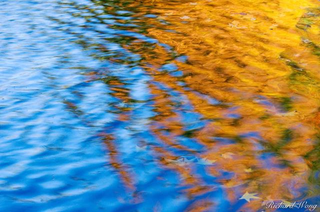 Fall Foliage Pond Reflection, Empire Mine State Historic Park, Grass Valley, California