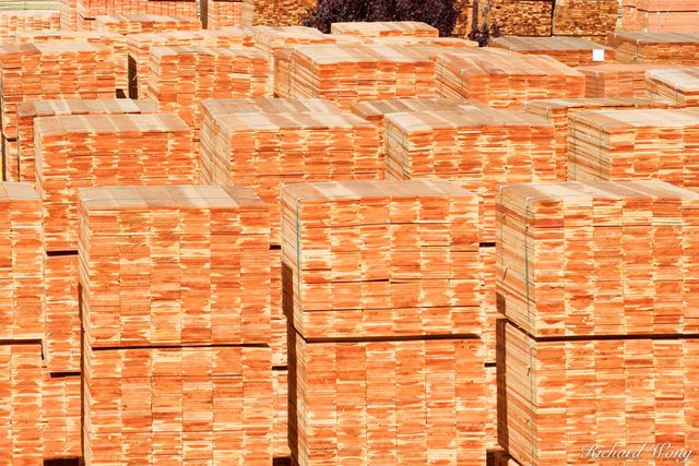 Timber print