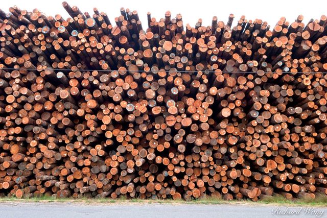 Logs print
