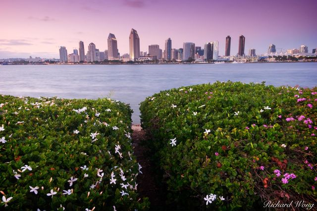 San Diego Skyline print