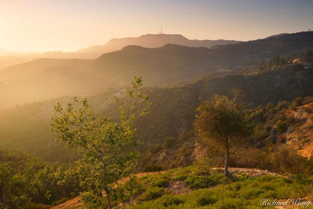 Hollywood Hills print