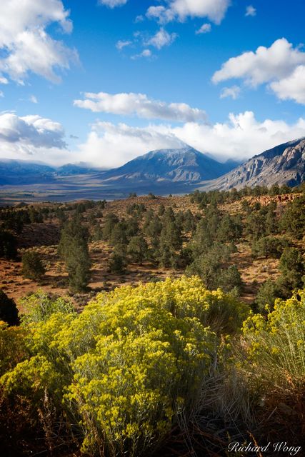 Owens Valley Overlook from U.S. Highway 395, Eastern Sierra, California