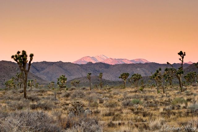 Earth Shadow over Mount San Gorgonio, Joshua Tree National Park, California