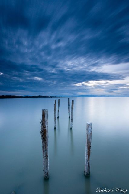 Rotted Dock Pilings, Salton Sea National Wildlife Refuge, California