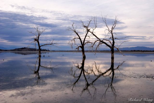 The Salton Sea print