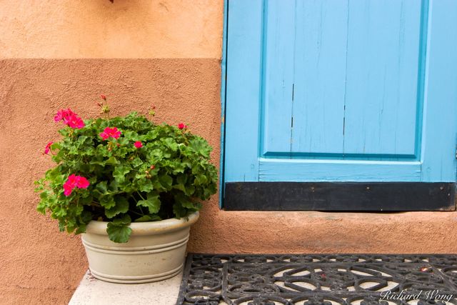 Plant on Turquoise Doorway, Taos, New Mexico