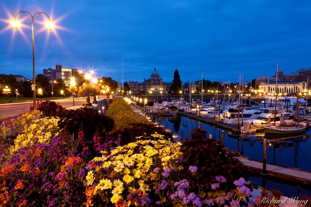 Inner Harbour at Dawn print