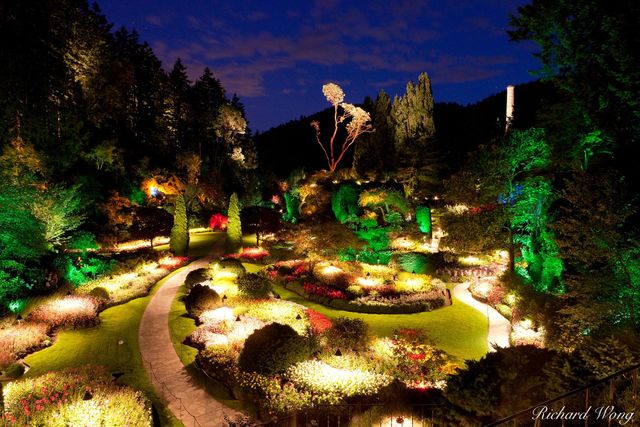 Gardens Of The Night