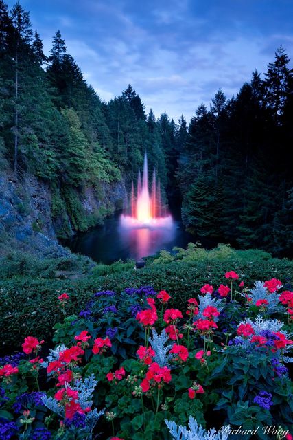 Ross Fountain at Night print