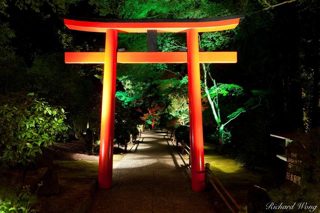 Japanese Gardens print