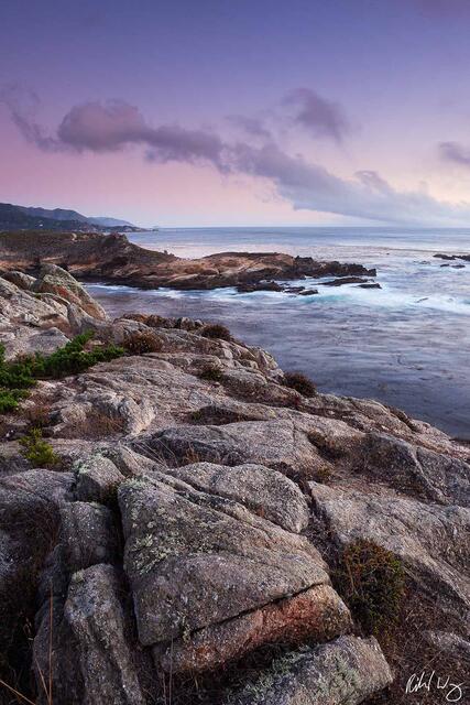 Headland Cove print