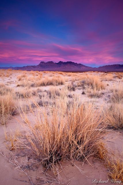 Providence Mountains View from Kelso Dunes, Mojave National Preserve, California