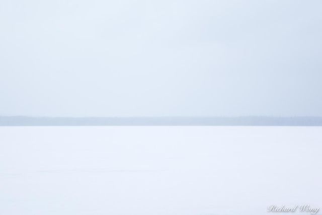 Heart Lake During Spring Snow Storm, Yellowstone National Park, Wyoming