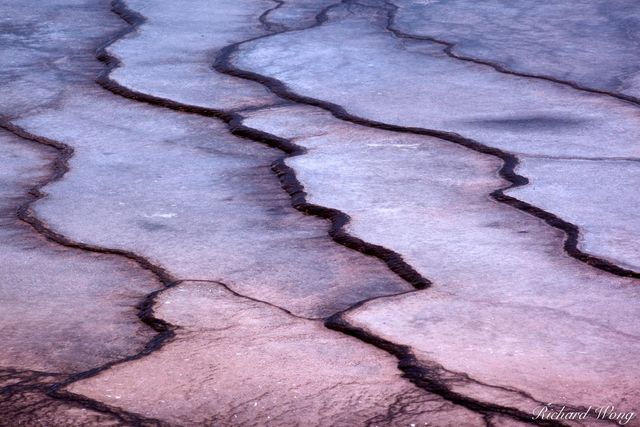 Dissolution print