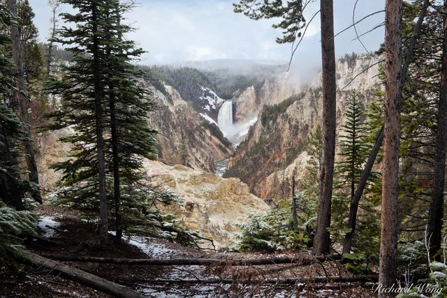 Artist Point print
