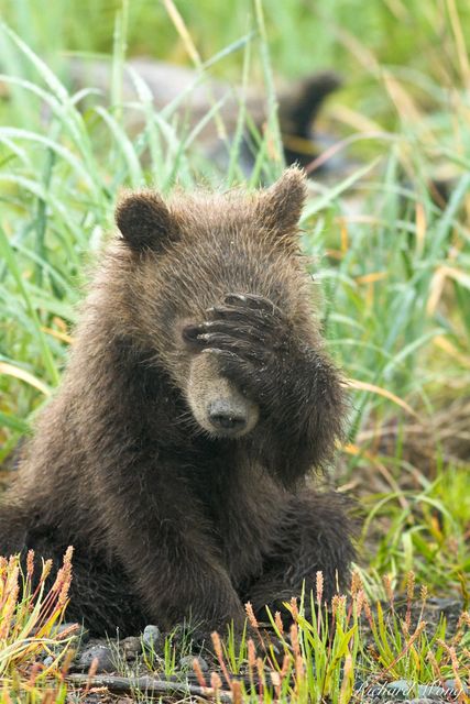 Unbearable Headache print
