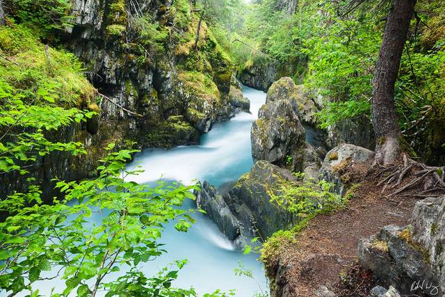 Winner Creek Gorge, Chugach National Forest, Alaska, photo