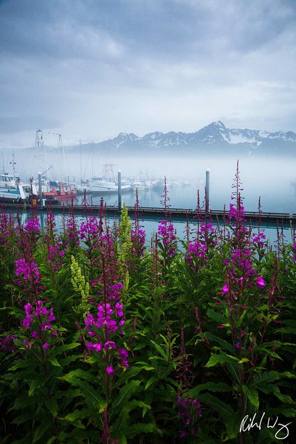 Seward Boat Harbor print