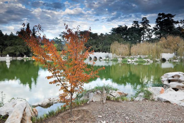 Ying Fang Hu / Lake of Reflected Fragrance in Chinese Garden at The Huntington, San Marino, California