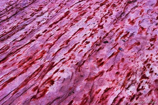 Sandstone Patterns, Valley of Fire State Park, Nevada, photo