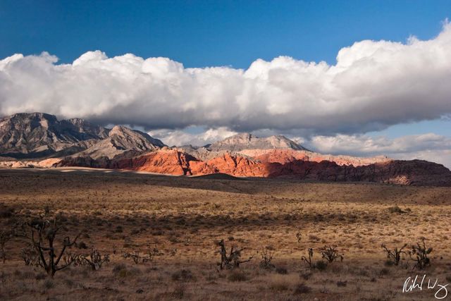 Red Rock Canyon Scenic Landscape, Nevada