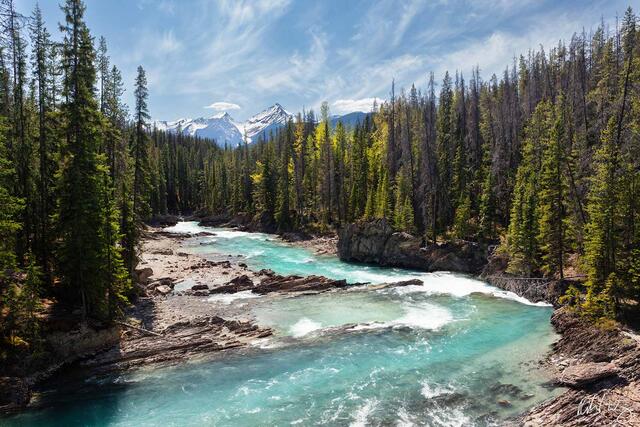 Kicking Horse River print