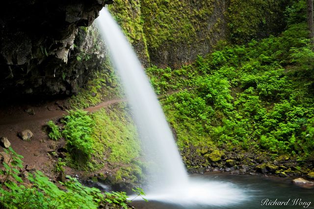 Ponytail Falls print