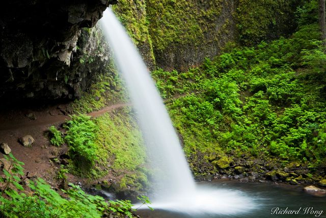 Ponytail Falls