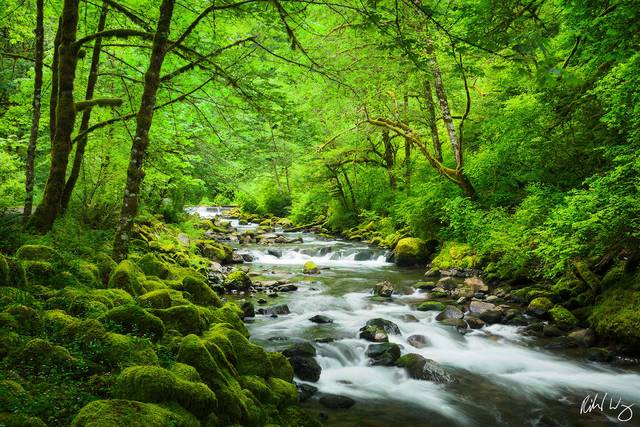 Tanner Creek, Columbia River Gorge National Scenic Area, Oregon, photo