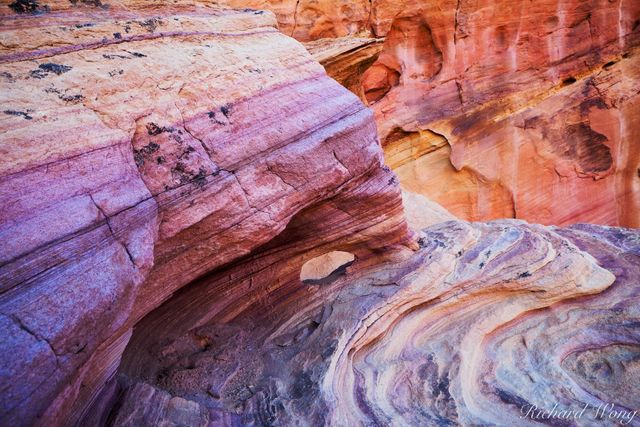 Rainbow Vista print