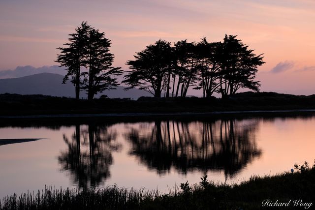 Crissy Field Marsh, San Francisco, California