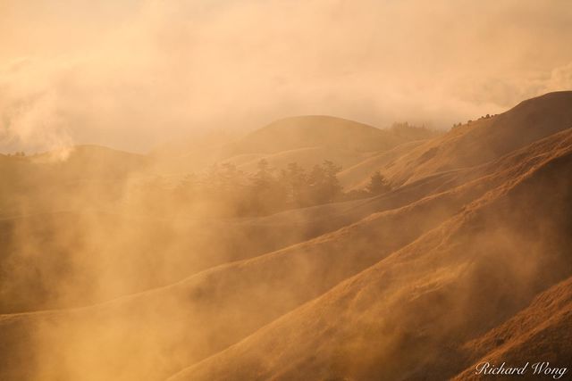 Photographer's Paradise print